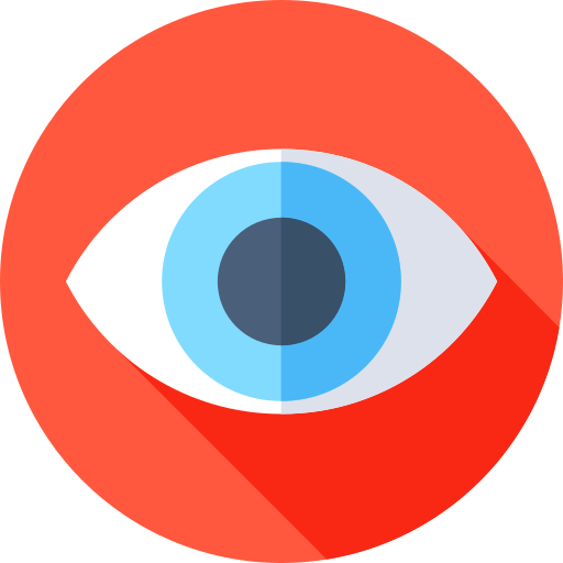 vision_1592505